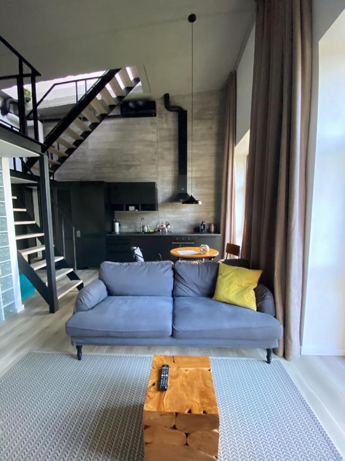 G - Owl Jazz -Modern Loft Type Apartment 18 With Big Roof Terrace And Free Private Parking Kaunas Ngoại thất bức ảnh