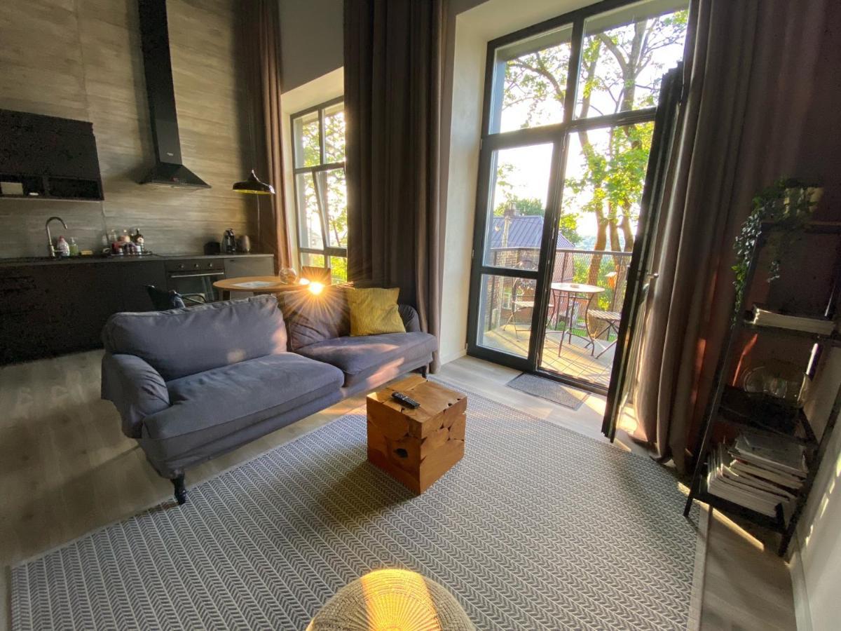 G - Owl Jazz -Modern Loft Type Apartment 18 With Big Roof Terrace And Free Private Parking Kaunas Ngoại thất bức ảnh