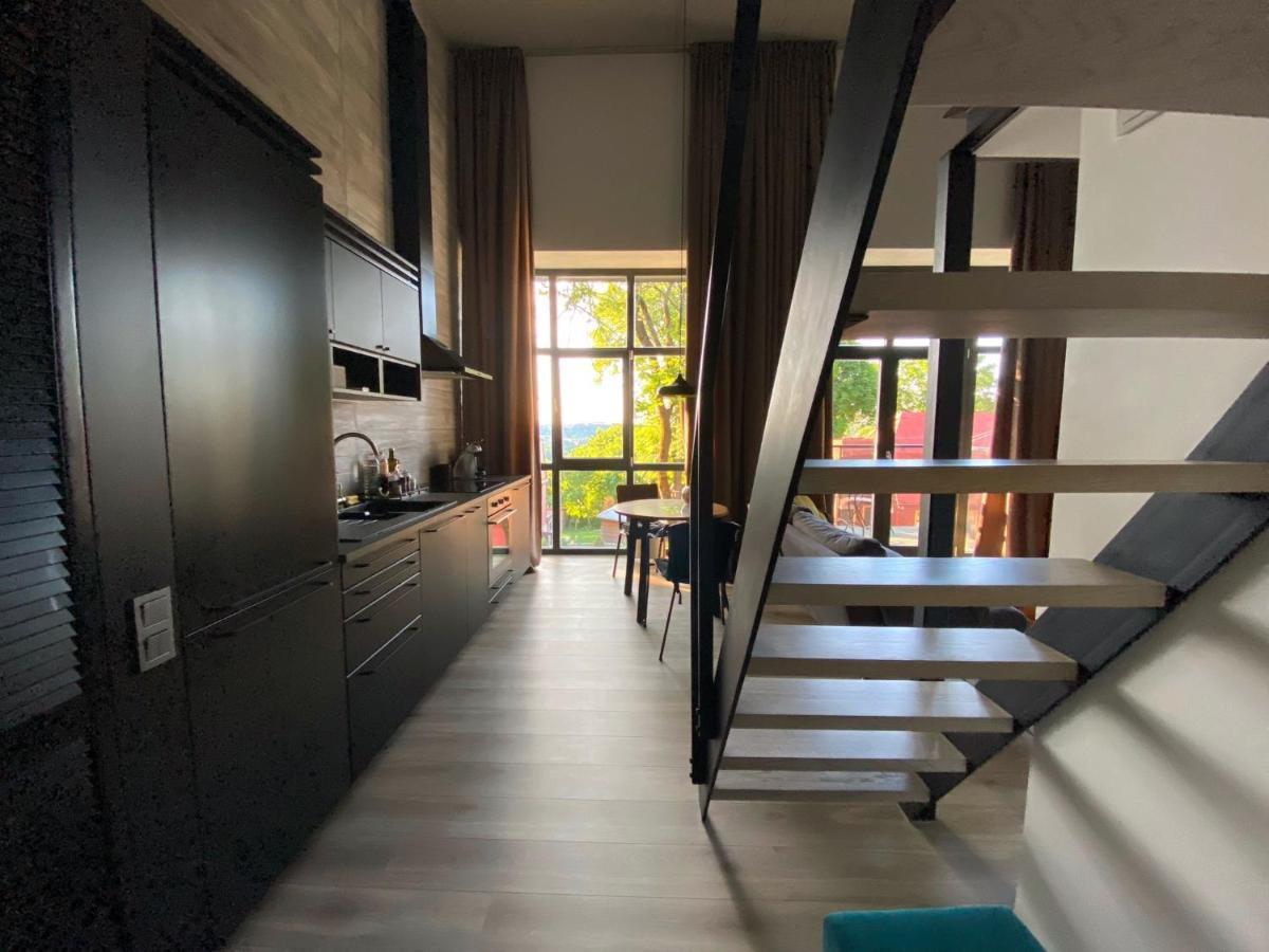 G - Owl Jazz -Modern Loft Type Apartment 18 With Big Roof Terrace And Free Private Parking Kaunas Ngoại thất bức ảnh